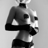 cache-malin burlesque brillant avec nud