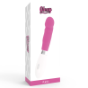 vibrateur paul rose