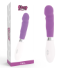 vibrateur paul violet