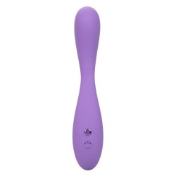 contour demi-violet