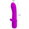 vibrateur rechargeable troy violet