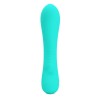 vibrateur rechargeable prescott vert aqua