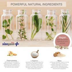 pilules sizegain plus pour agrandir le pénis