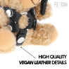 ted teddy bear modèle bdsm 2