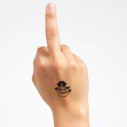 lot de 10 tatouages temporaires spicy collection