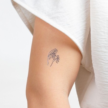 ensemble de 10 tatouages temporaires kinky collection