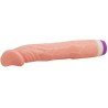 vibrateur naturel réaliste 22 cm