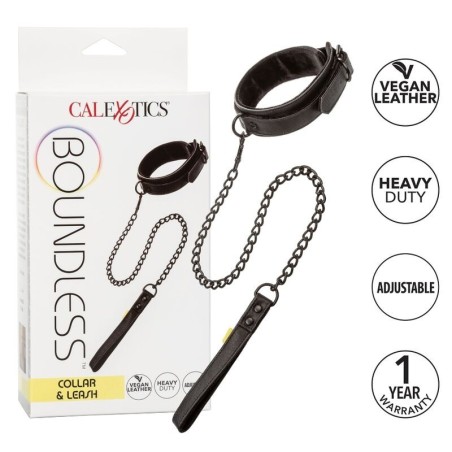 collier et laisse sans limites