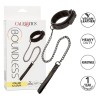 collier et laisse sans limites