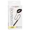 collier et laisse sans limites