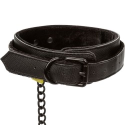 collier et laisse sans limites