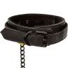 collier et laisse sans limites