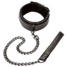 collier et laisse sans limites