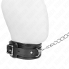 collier modèle basic avec laisse 65 cm modèle 1 53 x 6 cm