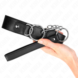 collier modèle basic avec laisse modèle 4 réglable 36-43 cm