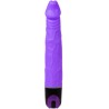 vibrateur de multivitesses 21.5 cm violet