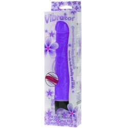 vibrateur de multivitesses 21.5 cm violet