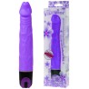 vibrateur de multivitesses 21.5 cm violet
