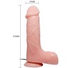 vibrateur réaliste naturel barbara 21 cm
