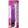 vibrateur multivitesses daaply pleasure violet