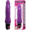 vibrateur multivitesses daaply pleasure violet