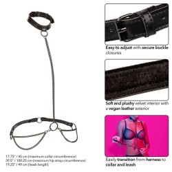 euphoria collier et laisse chaine