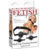 système dentraînement ball gag