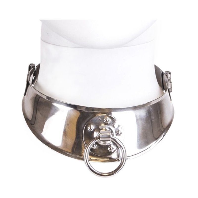 collier de retenue en avec anneau collier de retenue en avec anneau