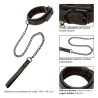 collier et laisse sans limites
