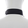 menottes et collier en nylon