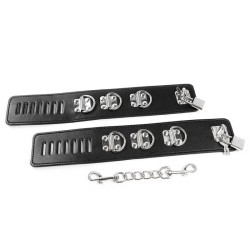retenues de chevilles de style hasp