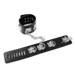 retenues de chevilles de style hasp