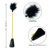 boundless récolte de plumes