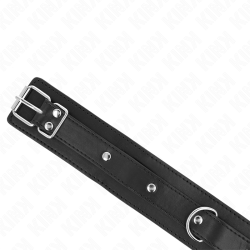collier avec laisse 65 cm 1 anneau réglable 38-49 cm x 5 cm