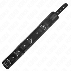 collier modèle basic avec laisse 65 cm modèle 1 53 x 6 cm