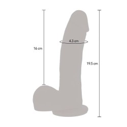 peau de gode confiant  limpulsion magnétique