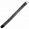 collier modèle basic avec laisse modèle 4 réglable 36-43 cm