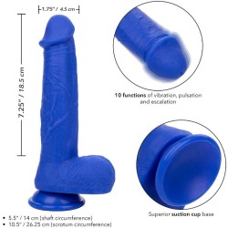 admiral vibrateur gode réaliste captain bleu