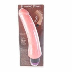 vibrateur réaliste 19.5 cm