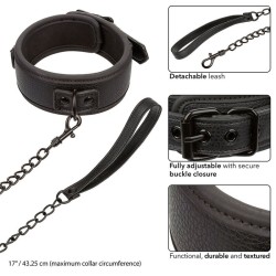 nocturnal collier et laisse en cuir réglable noir