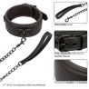 nocturnal collier et laisse en cuir réglable noir