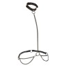 euphoria collier licol et laisse grande taille