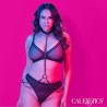 euphoria collier licol et laisse grande taille