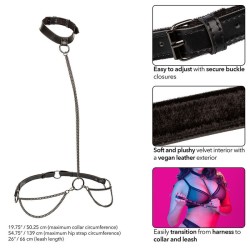 euphoria collier licol et laisse grande taille