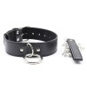 collier de soumission avec laisse
