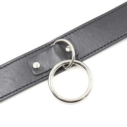 collier de soumission avec laisse