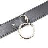 collier de soumission avec laisse