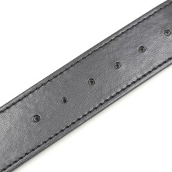 collier de soumission avec laisse