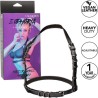 euphoria harnais boucle licol noir