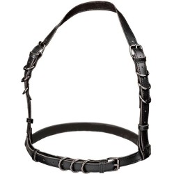 euphoria harnais boucle licol noir